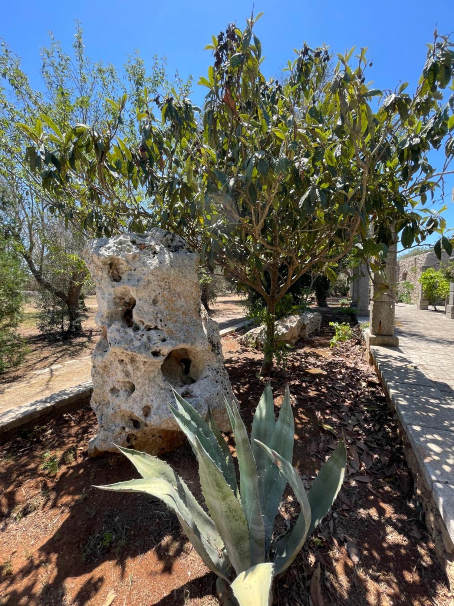 Agriturismo Salento Pietralata Andrano Exteriör bild