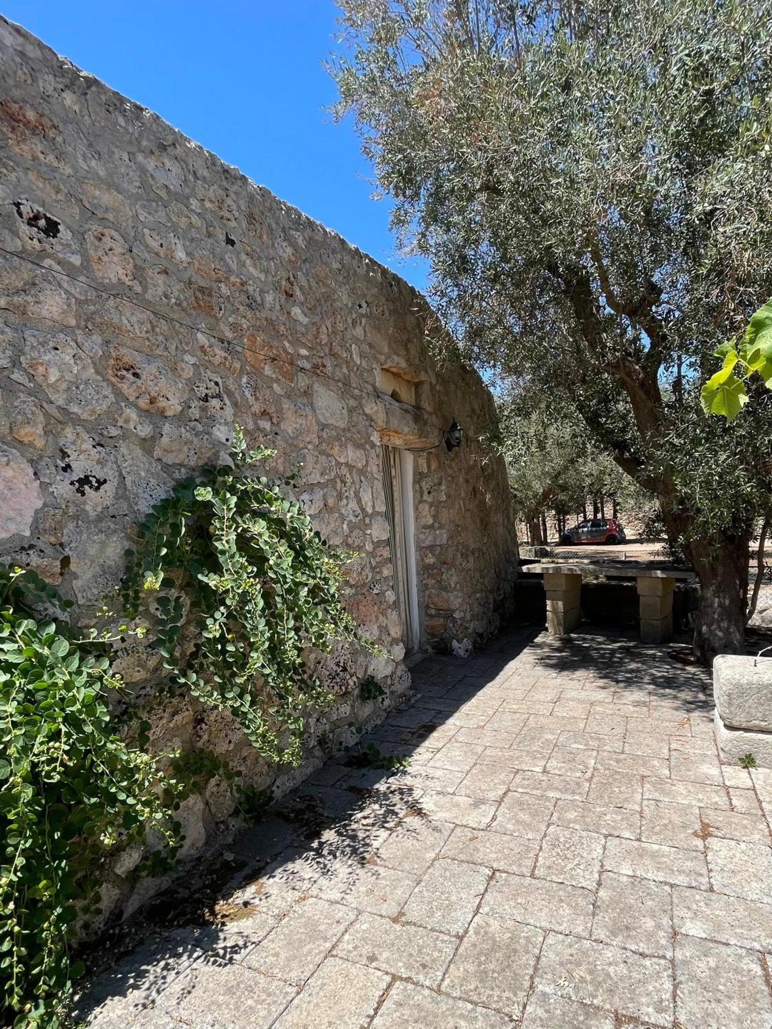 Agriturismo Salento Pietralata Andrano Exteriör bild